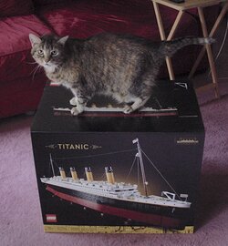 DSC00006 2.JPG