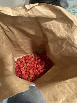 IMG_8025.jpeg
