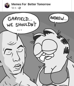 the human trafficking was to cover up the garfield affair.jpg