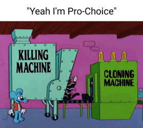 yeah I'm pro choice.gif