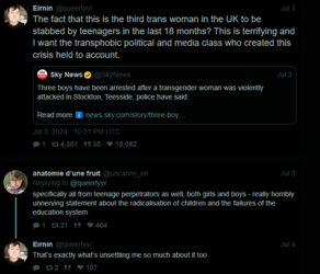 trans teen killers.PNG