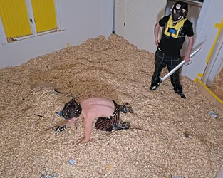 phone.png