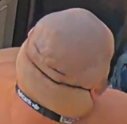 FACE.png