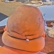 Face2.png