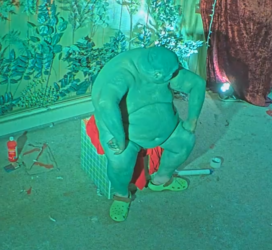 Green3.png