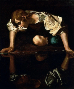 narcissus.png