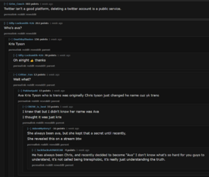 FireShot Capture, https___undelete.pullpush.io_r_MrBe, Ava deleted her X account__, 22.png