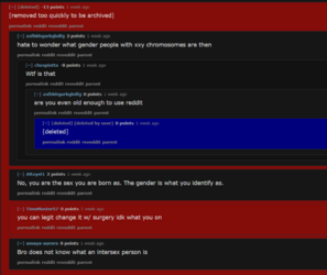 FireShot Capture, https___undelete.pullpush.io_r_MrBe, Ava deleted her X account__, 41.png