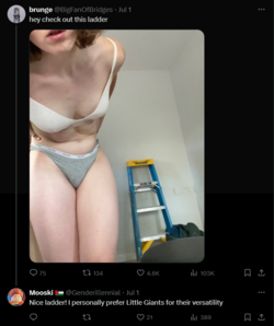 FireShot Capture 2616 - Mooski 🇵🇸 (@Genderillennial) _ X - x.com.png
