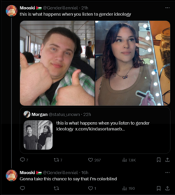 FireShot Capture 2628 - Mooski 🇵🇸 (@Genderillennial) _ X - x.com.png