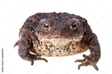 1000_F_48881039_HOgduLzYy2lVYCY5PPfgm2IHIhxCkIps.jpg