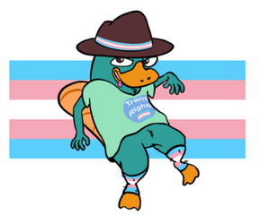 1720484902688.png
