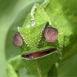 E1MVGUaX0AIewfl.jpg