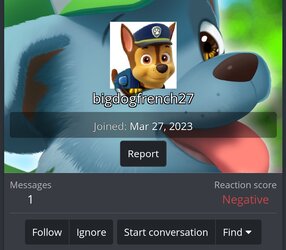 Screenshot_20240708_203328_Chrome.jpg