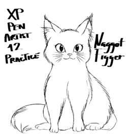 test3.png