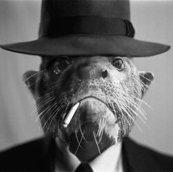 Tribute Otter.jpg