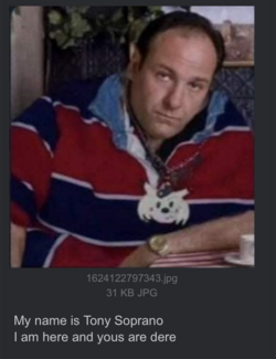 tonysopranochrischan.png