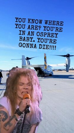 osprey.jpg
