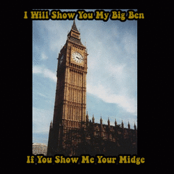 4d6442a1e8d5c0aabb8fc16a875516e1_4828285_1_swatch_big.gif