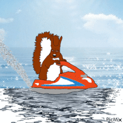 41143.gif