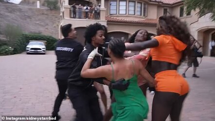 86799989-13581639-Many_of_the_gender_bending_brawls_are_so_physical_that_a_team_of-a-3_1720466...jpg