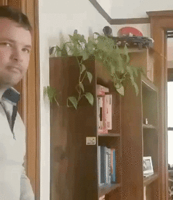 BertBertlinson - 1810874904675504354 - GIF 1.gif