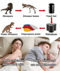 Dinosaurs.jpg