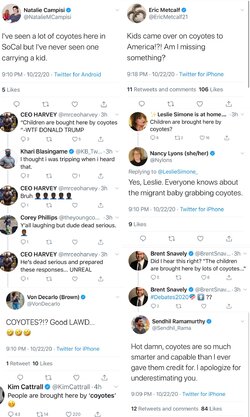 coyotes 2.jpeg