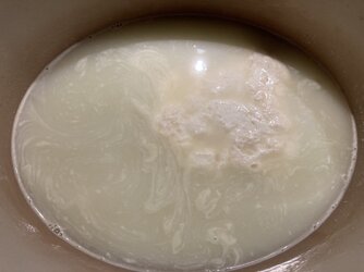 7BC90140-0A2A-4D0C-92FB-F469B3A32AD5.jpeg