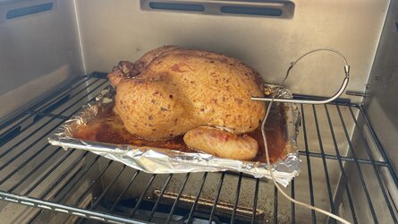 IMG_7569.jpeg