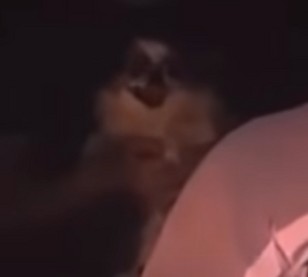 gnarlylittleweirddogcreature.png