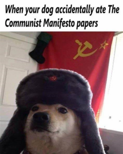 1720748573812.png 1720748573812.png
