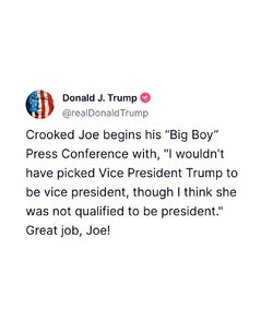 A social media post from convicted felon Trump: “Crooked Joe begins his ‘Big Boy’ Press Conference with, ‘I wouldn't have picked Vice President Trump to be vice president, though I think she was not qualified to be president.’ Great job, Joe!”