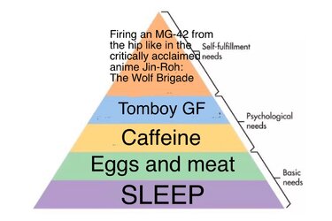 Needs.jpg