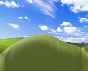 bliss2.jpg
