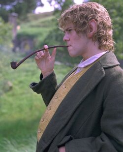 58ed56d0321bfd498aec250a1648d837--lord-of-the-rings-fellowship-of-the-ring.jpg