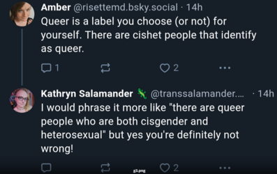 queer cishets.png
