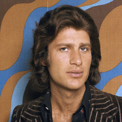 mike brant.jpg