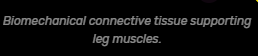 1720850596596.png