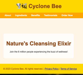 cyclone bee.png