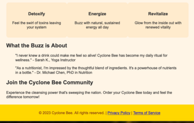 cyclone bee 2.png