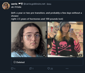 MtF troonie2.png