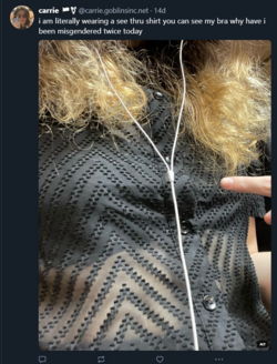 Misgendered1.png