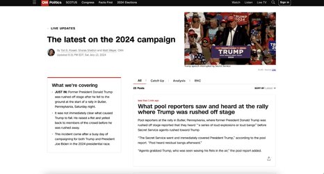 cnnnigers.jpg