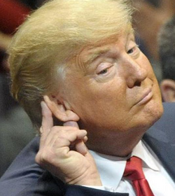 Trump Ear.png