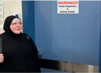Gunt Warning.png