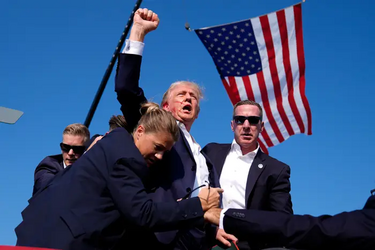 trumptriumphs.png