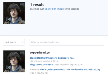tineye_micay.png