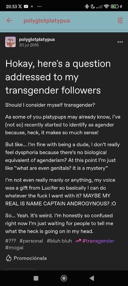 Screenshot_2024-07-09-20-53-19-819_com.tumblr.jpg