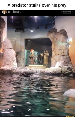 IMG_9295.jpeg
